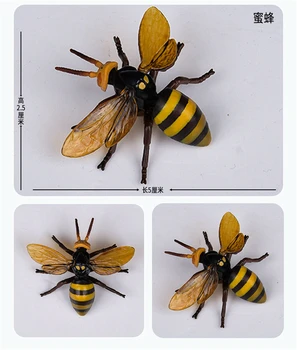 Modeliranje Životinja, Insekata Vretence i Leptir Mantis Pauk Pčela Dinastije Hispellinus Cerambycidae Skakavci Dječja igračka